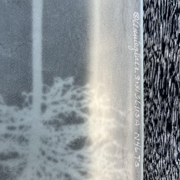 Annieglass Fused Glass Tray‎ Frosted/ Silver Overlay Tree Signed & Numbered - Picture 3 of 3